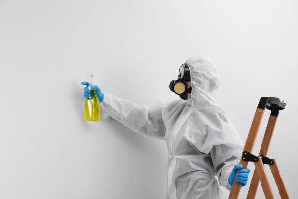 Best Biohazard Mold Removal in Franklin, KY